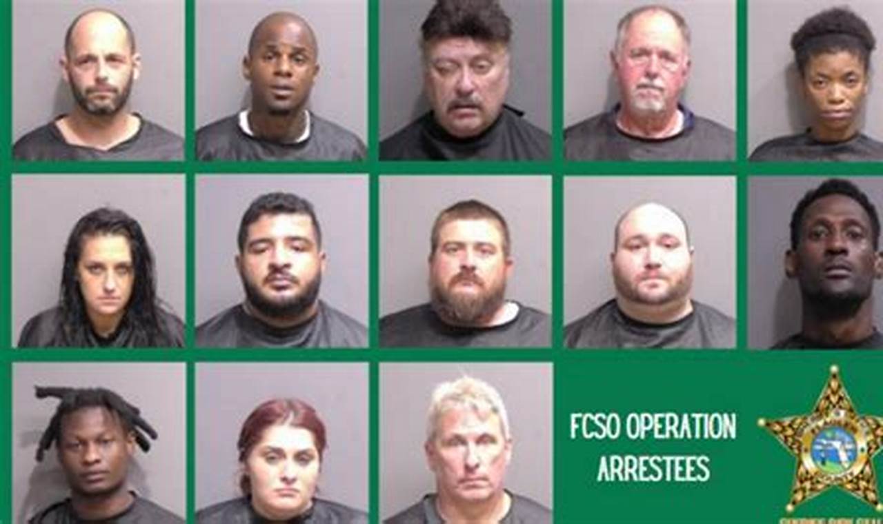 fcso bookings and releases